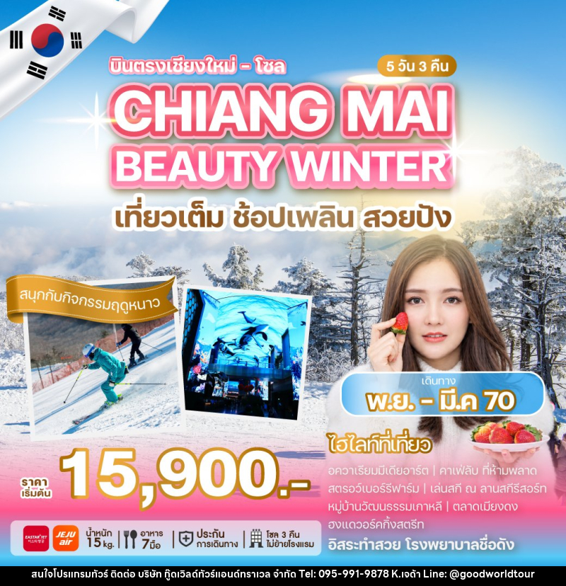 ทัวร์เกาหลี บินตรงเชียงใหม่ - โซล CHIANG MAI BEAUTY WINTER - บริษัท กู๊ดเวิลด์ทัวร์แอนด์ทราเวล จำกัด