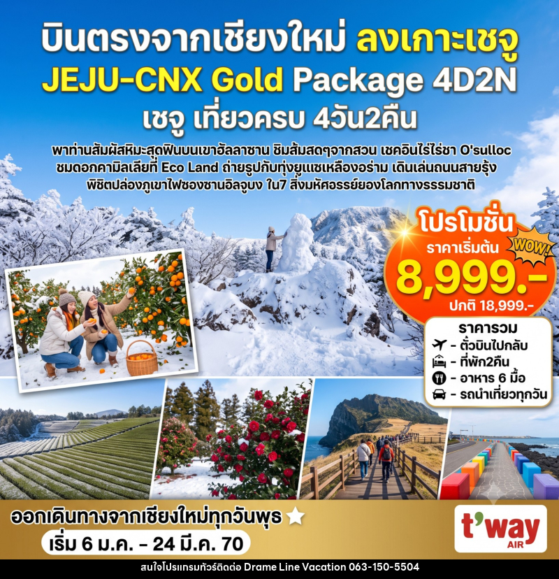 ทัวร์เกาหลี Jeju Gold Package Winter - DREAMLINE VACATION COMPANY LIMITED