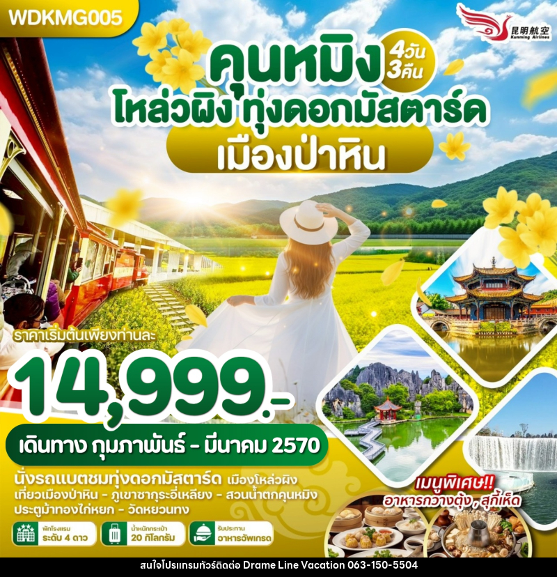 ทัวร์จีน คุนหมิง โหล่วผิง ทุ่งดอกมัสตาร์ด เมืองป่าหิน - DREAMLINE VACATION COMPANY LIMITED