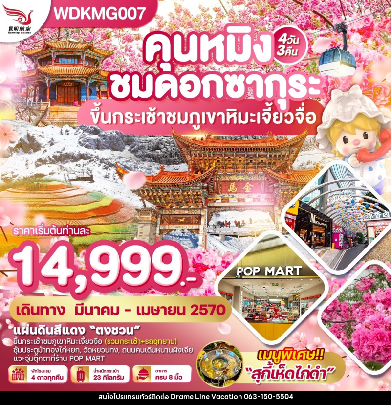 ทัวร์จีน คุนหมิง ชมดอกซากุระ ขึ้นกระเช้าชมภูเขาหิมะเจี้ยวจื่อ - DREAMLINE VACATION COMPANY LIMITED