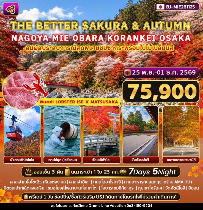 ทัวร์ญี่ปุ่น THE BETTER SAKURA & AUTUMN NAGOYA - MIE - OBARA - KORANKEI - OSAKA - DREAMLINE VACATION COMPANY LIMITED