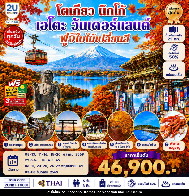 ทัวร์ญี่ปุ่น โตเกียว นิกโก้ เอโดะ วันเดอร์แลนด์  ฟูจิใบไม้เปลี่ยนสี - DREAMLINE VACATION COMPANY LIMITED
