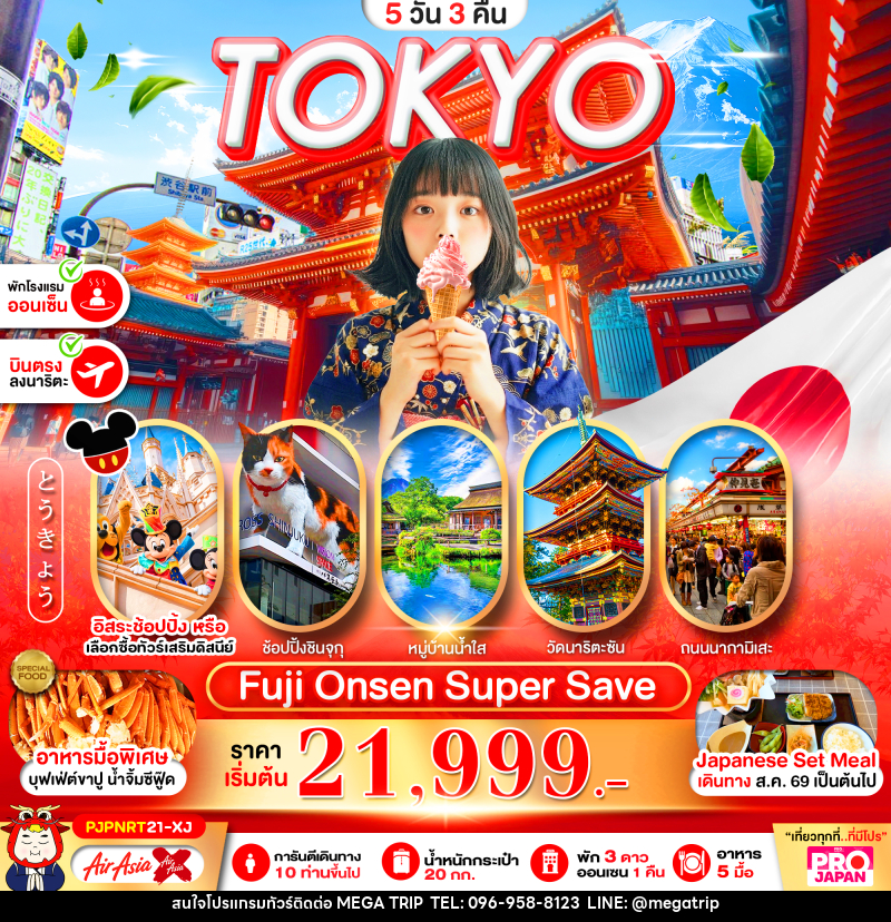ทัวร์ญี่ปุ่น PRO TOKYO FUJI ONSEN SUPER SAVE FREE DAY - บริษัท เมก้า เมกเกอร์ จำกัด