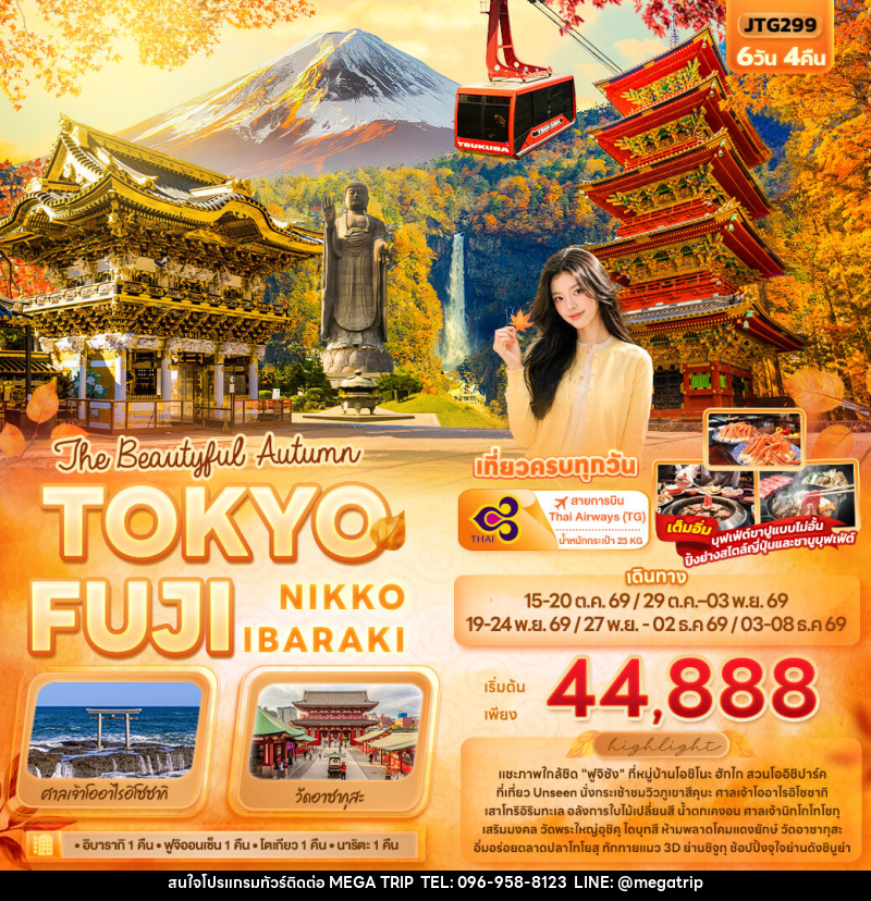 ทัวร์ญี่ปุ่น The Beautyful Autumn TOKYO FUJI NIKKO IBARAKI - บริษัท เมก้า เมกเกอร์ จำกัด