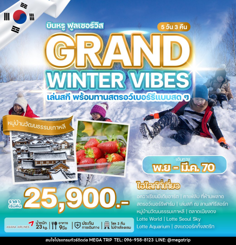 ทัวร์เกาหลี GRAND WINTER VIBES - บริษัท เมก้า เมกเกอร์ จำกัด