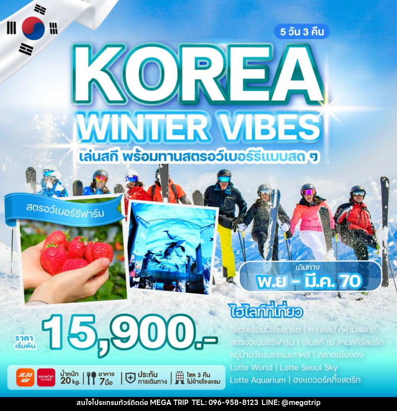 ทัวร์เกาหลี KOREA WINTER VIBES - บริษัท เมก้า เมกเกอร์ จำกัด