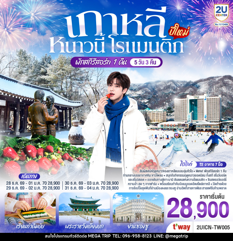 ทัวร์เกาหลี หนาวนี้ โรแมนติก (ปีใหม่) - บริษัท เมก้า เมกเกอร์ จำกัด