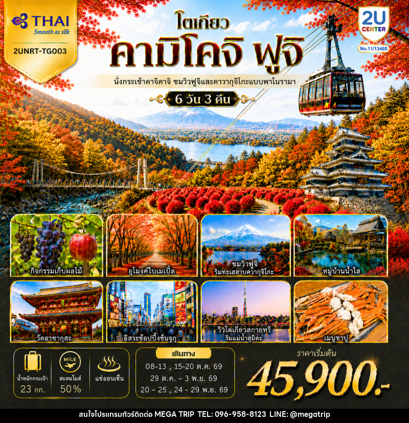 ทัวร์ญี่ปุ่น โตเกียว คามิโคจิ ฟูจิ นั่งกระเช้าคาจิคาจิ AUTUMN FULL BLOOM - บริษัท เมก้า เมกเกอร์ จำกัด