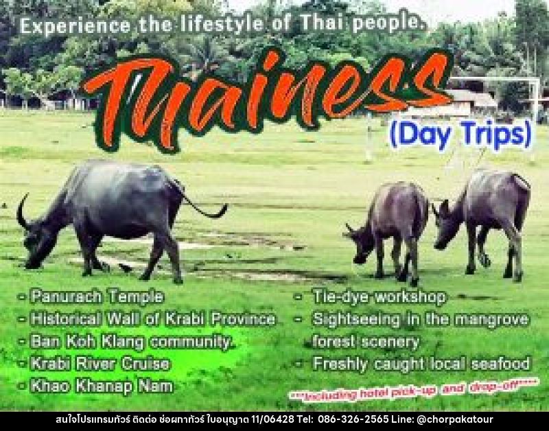 แพ็คเกจทัวร์กระบี่ Thainess Day Trips - บริษัท ช่อผกาทัวร์ จำกัด