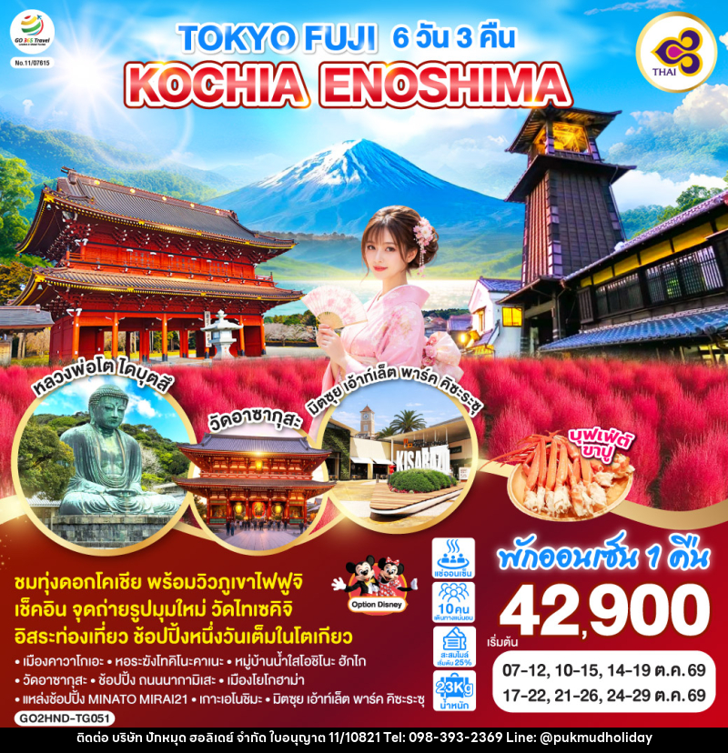 ทัวร์ญี่ปุ่น TOKYO FUJI KOCHIA ENOSHIMA - บริษัท ปักหมุด ฮอลิเดย์ จำกัด