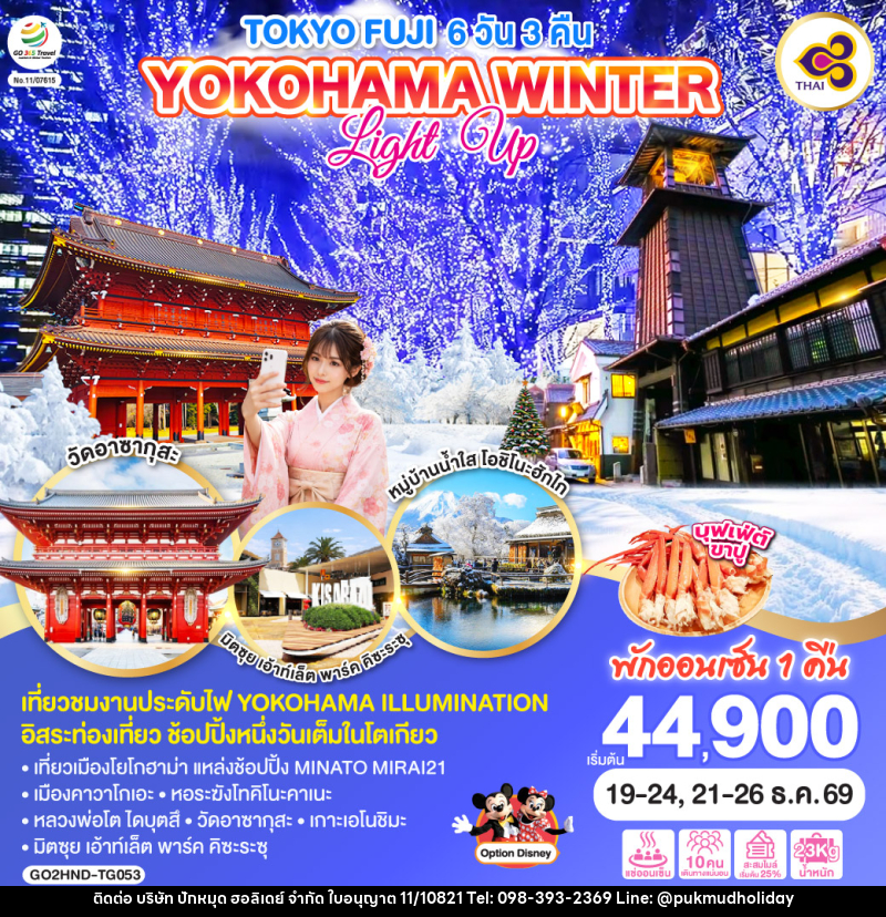 ทัวร์ญี่ปุ่น TOKYO FUJI YOKOHAMA WINTER LIGHT UP - บริษัท ปักหมุด ฮอลิเดย์ จำกัด