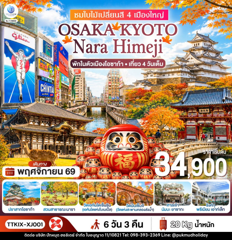 ทัวร์ญี่ปุ่น OSAKA KYOTO NARA HIMEJI ชมใบไม้เปลี่ยนสี 4 เมืองใหญ่ - บริษัท ปักหมุด ฮอลิเดย์ จำกัด