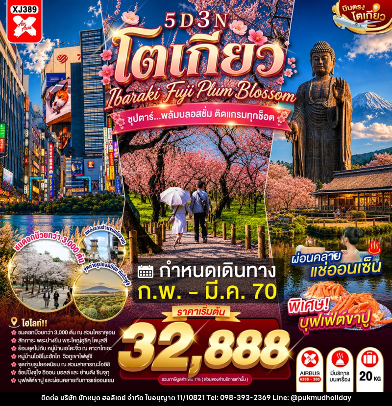 ทัวร์ญี่ปุ่น TOKYO IBARAKI FUJI PLUM BLOSSOM - บริษัท ปักหมุด ฮอลิเดย์ จำกัด