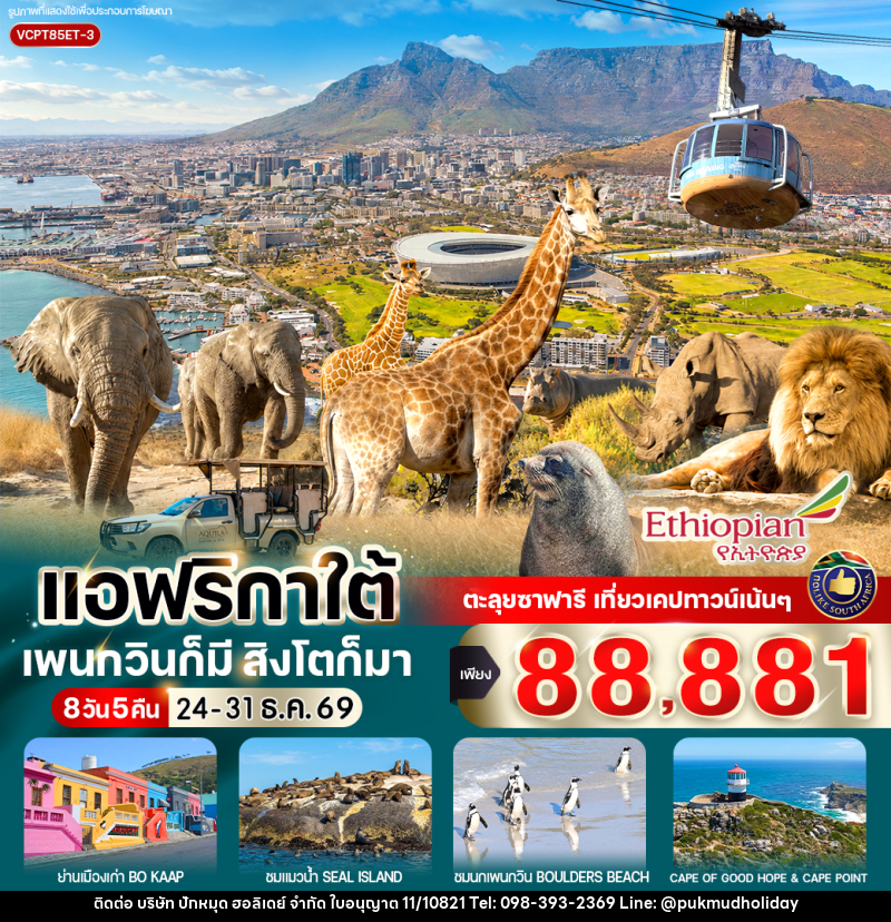 ทัวร์แอฟริกาใต้ แพนกวินก็มี สิงโตก็มา - บริษัท ปักหมุด ฮอลิเดย์ จำกัด