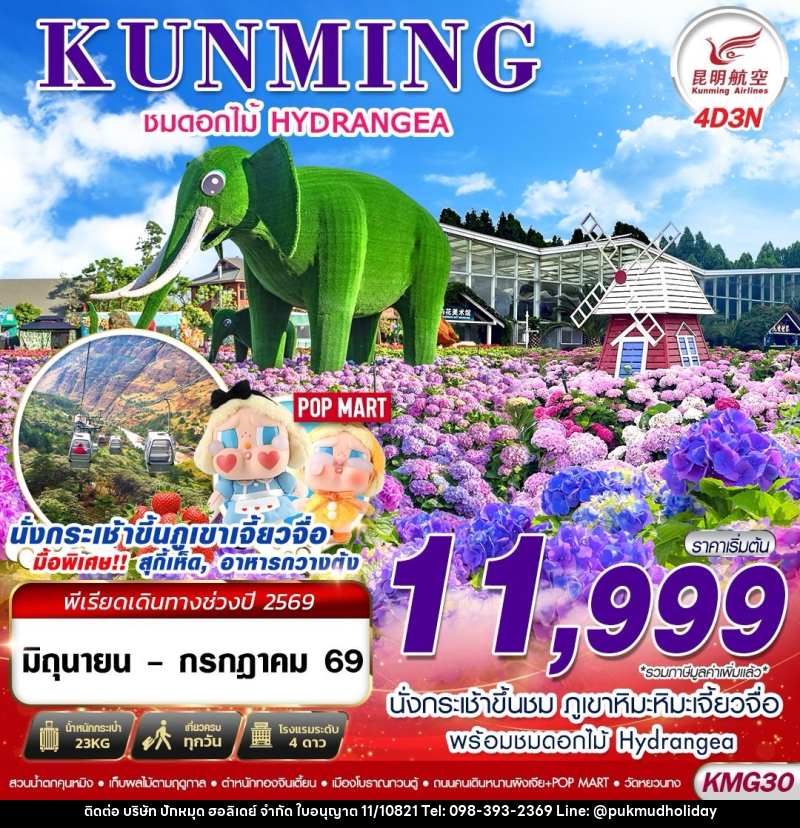 ทัวร์จีน KUNMING ชมดอกไม้ HYDRANGEA - บริษัท ปักหมุด ฮอลิเดย์ จำกัด ทัวร์จีน KUNMING ชมดอกไม้ HYDRANGEA - บริษัท ปักหมุด ฮอลิเดย์ จำกัด