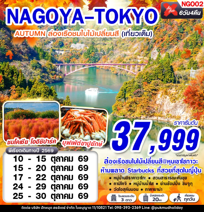 ทัวร์ญี่ปุ่น NAGOYA-TOKYO AUTUMN เที่ยวเต็มอิ่ม (เที่ยวเต็ม) - บริษัท ปักหมุด ฮอลิเดย์ จำกัด