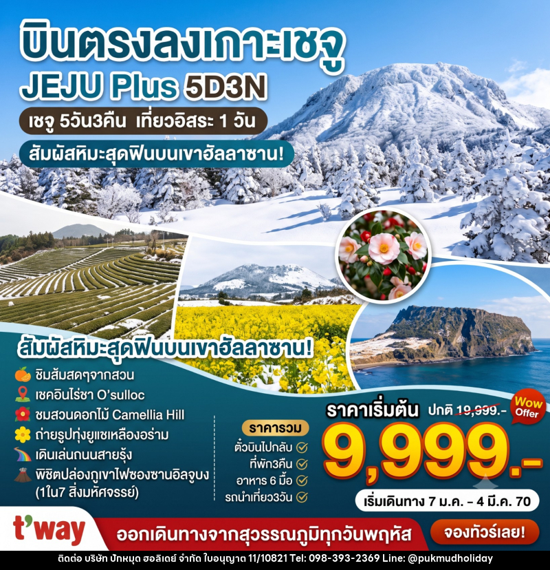 ทัวร์เกาหลี Jeju Plus Winter - บริษัท ปักหมุด ฮอลิเดย์ จำกัด