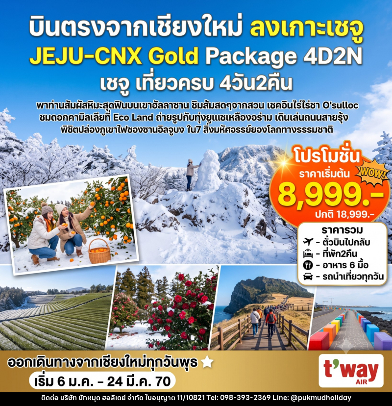 ทัวร์เกาหลี Jeju Gold Package Winter - บริษัท ปักหมุด ฮอลิเดย์ จำกัด