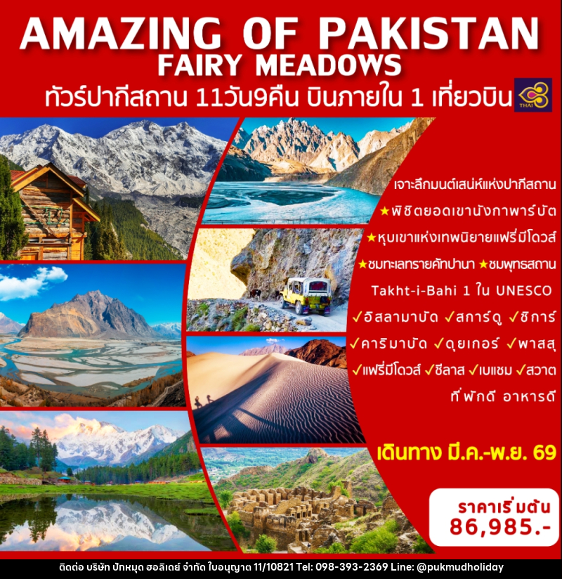 ทัวร์ปากีสถาน AMAZING OF PAKISTAN FAIRY MEADOWS ทัวร์ปากีสถาน บินภายในประเทศ 1 เที่ยวบิน - บริษัท ปักหมุด ฮอลิเดย์ จำกัด