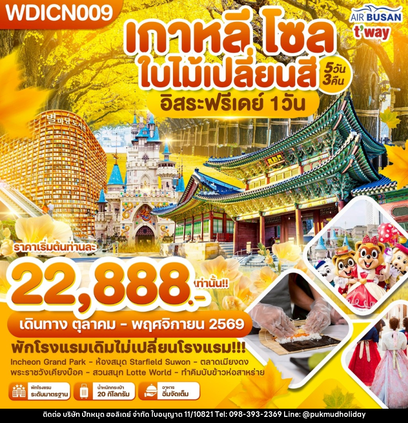 ทัวร์เกาหลี โซล ใบไม้เปลี่ยนสี อิสระฟรีเดย์ 1 วัน - บริษัท ปักหมุด ฮอลิเดย์ จำกัด