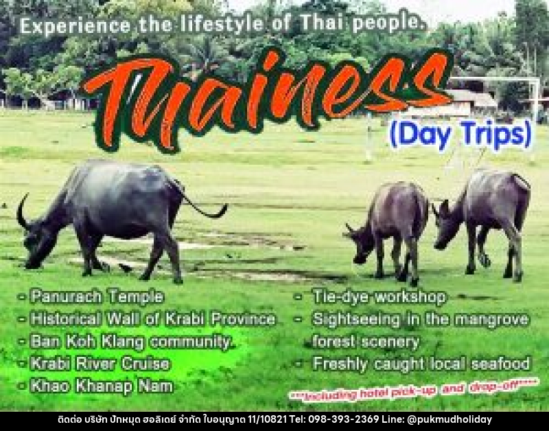 แพ็คเกจทัวร์กระบี่ Thainess Day Trips - บริษัท ปักหมุด ฮอลิเดย์ จำกัด