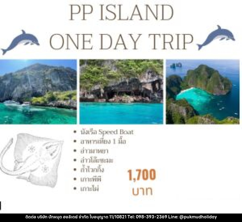 แพ็คเกจทัวร์กระบี่ PP ISLAND ONE DAY TRIP - บริษัท ปักหมุด ฮอลิเดย์ จำกัด