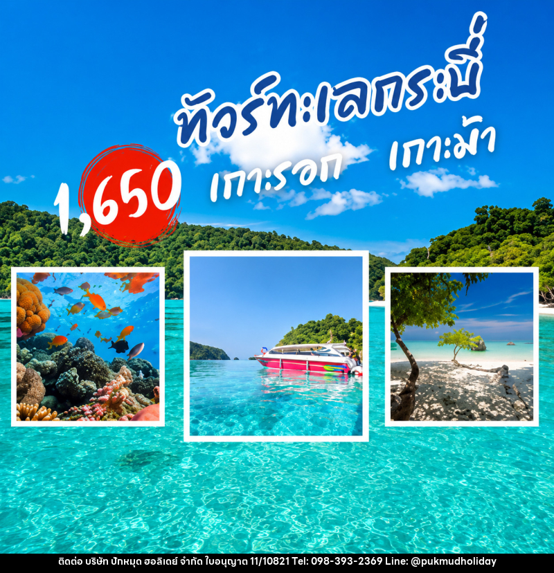 แพ็คเกจทัวร์กระบี่ เกาะรอก เกาะม้า - บริษัท ปักหมุด ฮอลิเดย์ จำกัด