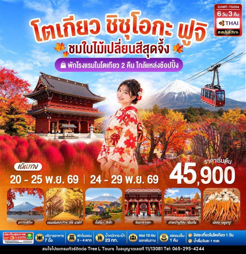 ทัวร์ญี่ปุ่น โตเกียว ชิซุโอกะ ฟูจิ นั่งกระเช้าคาจิคาจิ ชมใบไม้เปลี่ยนสีสุดจึ้ง - บริษัท ทรี แอล ทัวร์ จำกัด