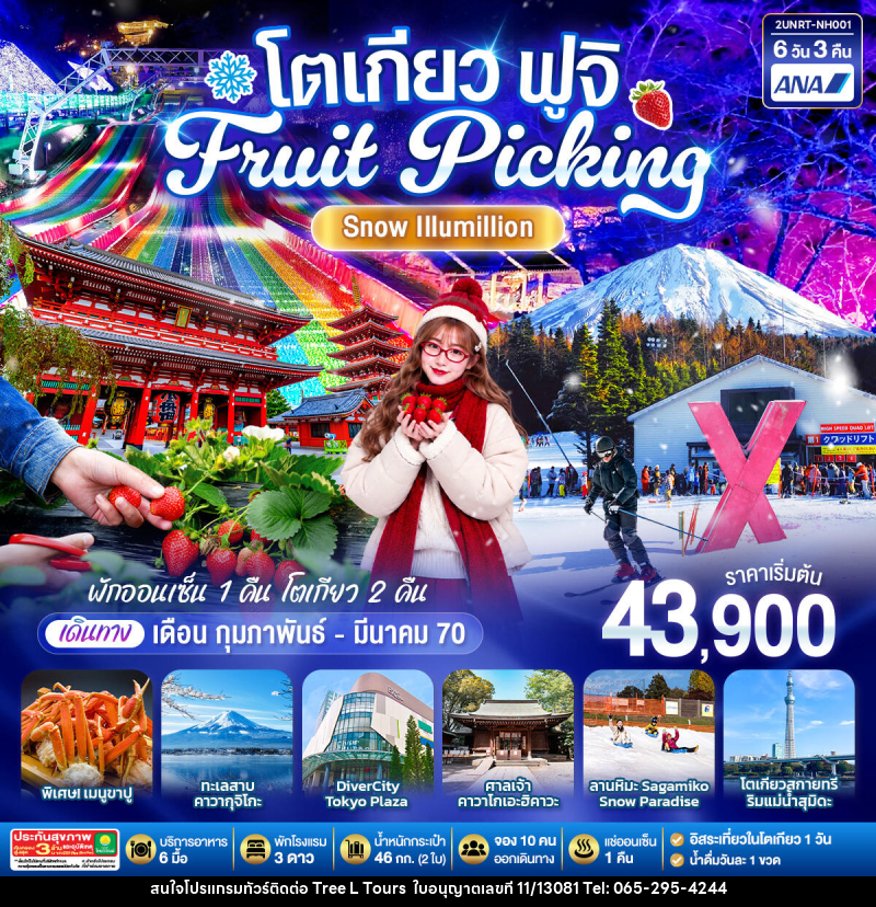 ทัวร์ญี่ปุ่น โตเกียว ฟูจิ FRUIT PICKING SNOW Illumillion - บริษัท ทรี แอล ทัวร์ จำกัด ทัวร์ญี่ปุ่น โตเกียว ฟูจิ FRUIT PICKING SNOW Illumillion - บริษัท ทรี แอล ทัวร์ จำกัด