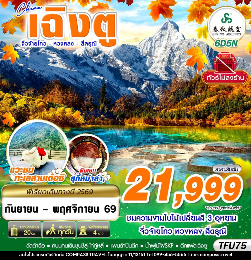 ทัวร์จีน เฉิงตู สี่ดรุณี หวงหลง จิ่วจ้ายโกว ไม่ลงร้าน - บริษัท คอมพาส ทราเวล จำกัด