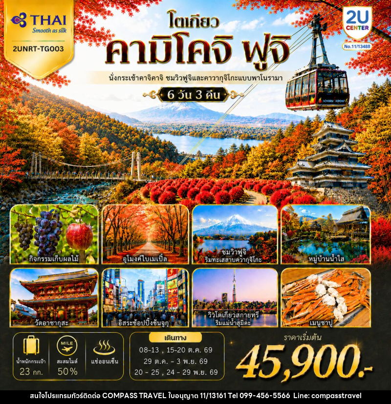 ทัวร์ญี่ปุ่น โตเกียว คามิโคจิ ฟูจิ นั่งกระเช้าคาจิคาจิ AUTUMN FULL BLOOM - บริษัท คอมพาส ทราเวล จำกัด