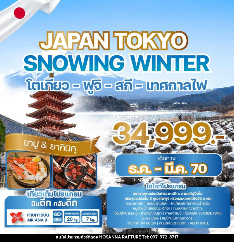 ทัวร์ญี่ปุ่น JAPAN TOKYO SNOWING WINTER - บริษัท โฮซันนา ราฟติ้ง แอนด์ แอดเวนเจอร์ จำกัด