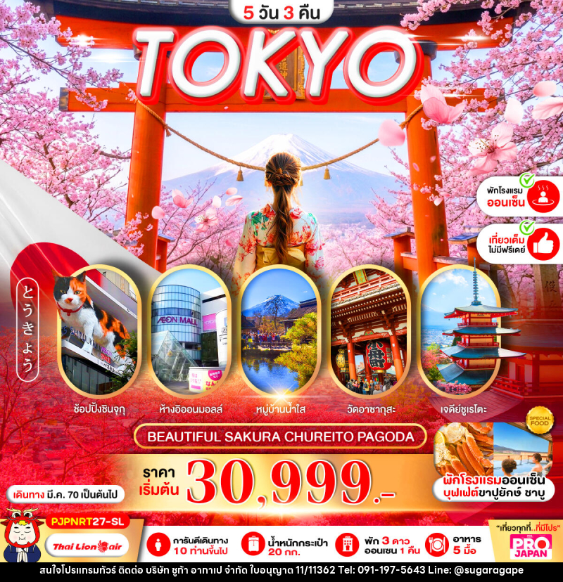 ทัวร์ญี่ปุ่น PRO TOKYO BEAUTIFUL SAKURA CHUREITO PAGODA FULL DAY - บริษัท ชูก้า อากาเป จำกัด