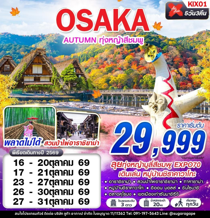 ทัวร์ญี่ปุ่น OSAKA AUTUMN ทุ่งหญ้าสีชมพู - บริษัท ชูก้า อากาเป จำกัด