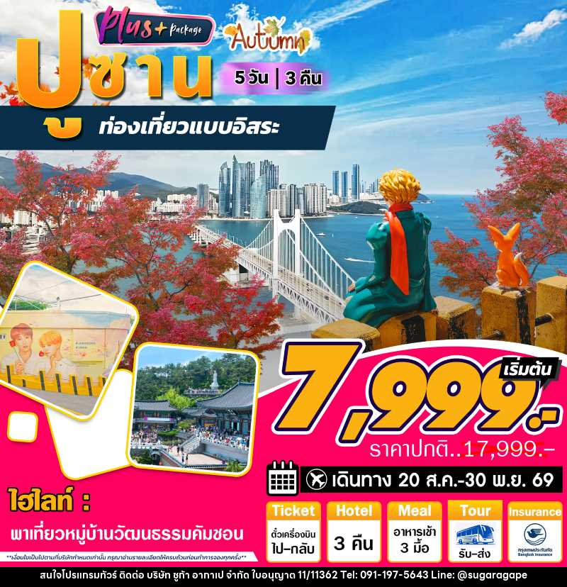 ทัวร์เกาหลี ปูซาน Autum ท่องเที่ยวแบบอิสระ - บริษัท ชูก้า อากาเป จำกัด
