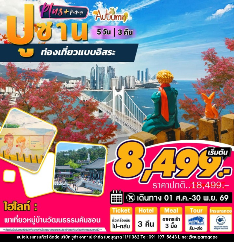 ทัวร์เกาหลี ปูซาน Plus Autumn ท่องเที่ยวแบบอิสระ - บริษัท ชูก้า อากาเป จำกัด