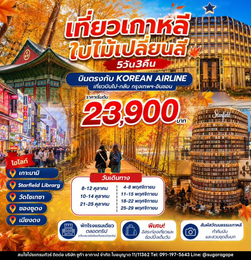 ทัวร์เกาหลี ชมใบไม้เปลี่ยนสี - บริษัท ชูก้า อากาเป จำกัด
