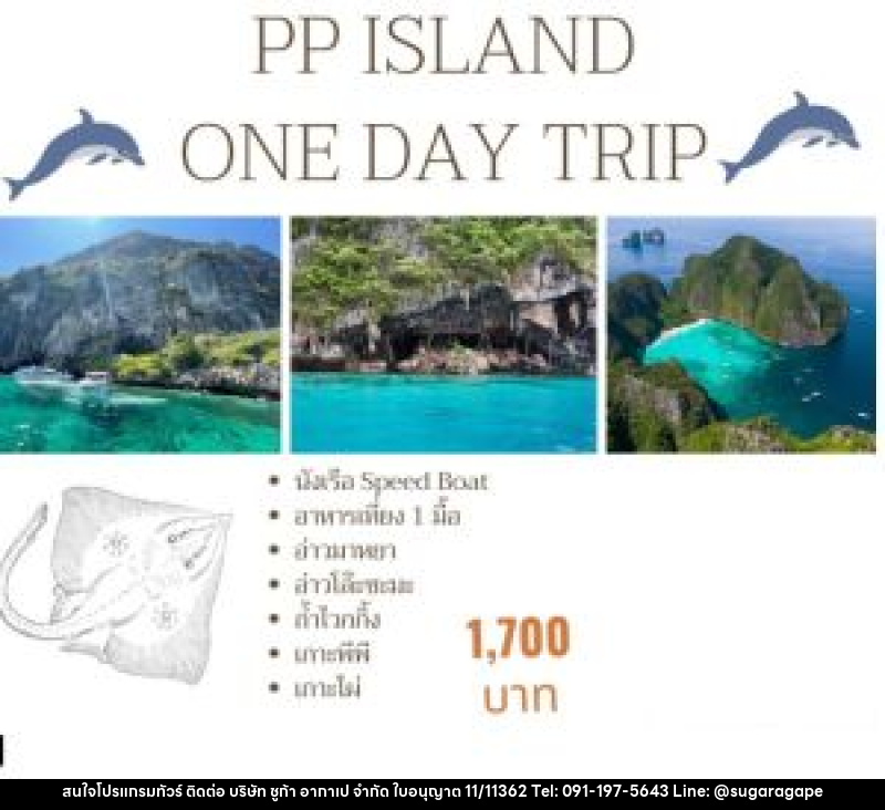 แพ็คเกจทัวร์กระบี่ PP ISLAND ONE DAY TRIP - บริษัท ชูก้า อากาเป จำกัด