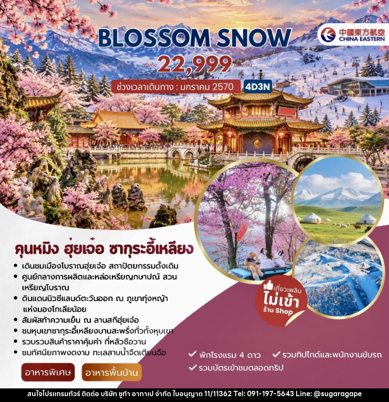 ทัวร์จีน BLOSSOM SNOW คุนหมิง ฮุ่ยเจ๋อ ซากุระอี้เหลียง - บริษัท ชูก้า อากาเป จำกัด