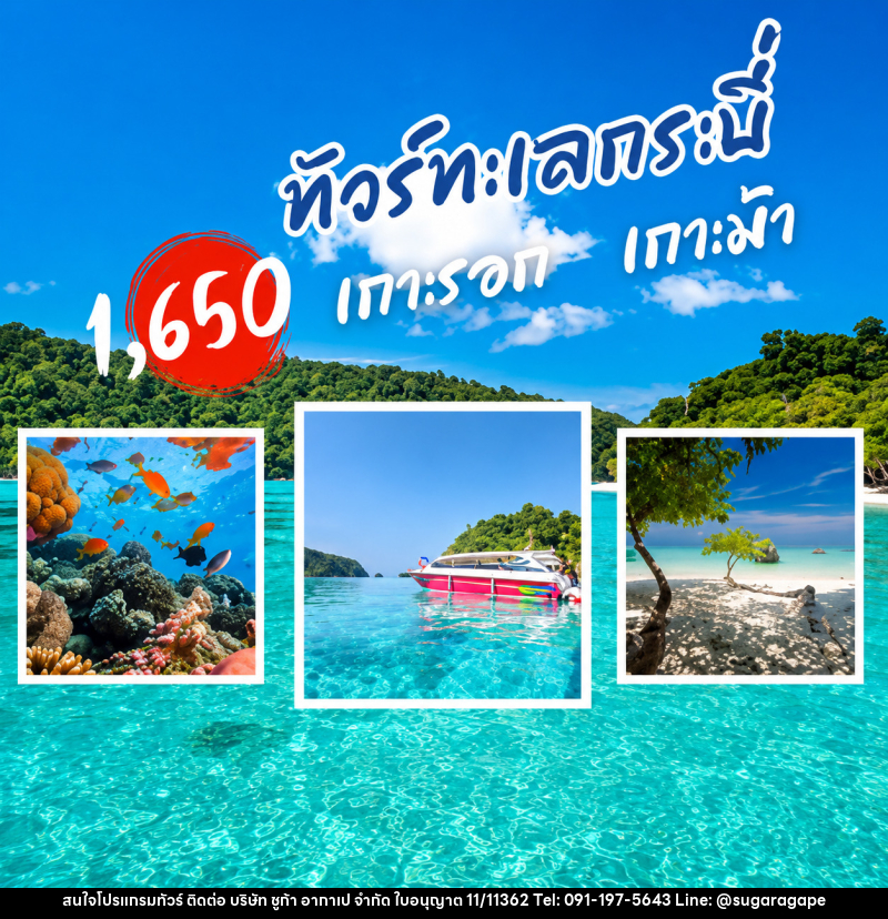 แพ็คเกจทัวร์กระบี่ เกาะรอก เกาะม้า - บริษัท ชูก้า อากาเป จำกัด