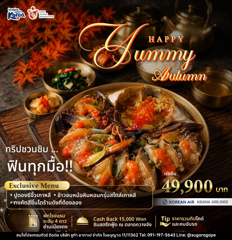 แพคเกจทัวร์เกาหลี Happy Yummy Autumn 2026 - บริษัท ชูก้า อากาเป จำกัด
