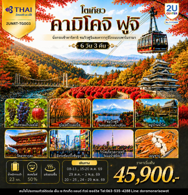 ทัวร์ญี่ปุ่น โตเกียว คามิโคจิ ฟูจิ นั่งกระเช้าคาจิคาจิ AUTUMN FULL BLOOM - เอ็น เจ ทิกเก็ต แอนด์ ทัวร์ เซอร์วิส (เกาะแก้ว)