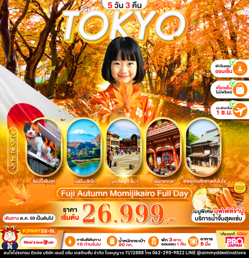 ทัวร์ญี่ปุ่น PRO TOKYO FUJI AUTUMN MOMIJIKAIRO FULL DAY - บริษัท เอมมี่ ดรีม เดสติเนชั่น จำกัด