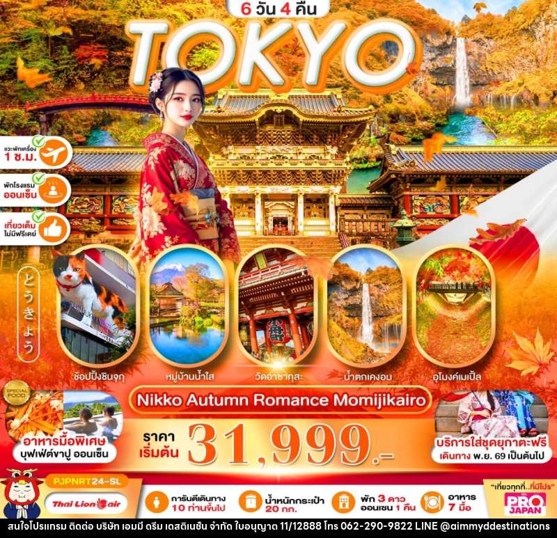 ทัวร์ญี่ปุ่น PRO TOKYO NIKKO AUTUMN ROMANCE MOMIJIKAIRO FULL DAY - บริษัท เอมมี่ ดรีม เดสติเนชั่น จำกัด