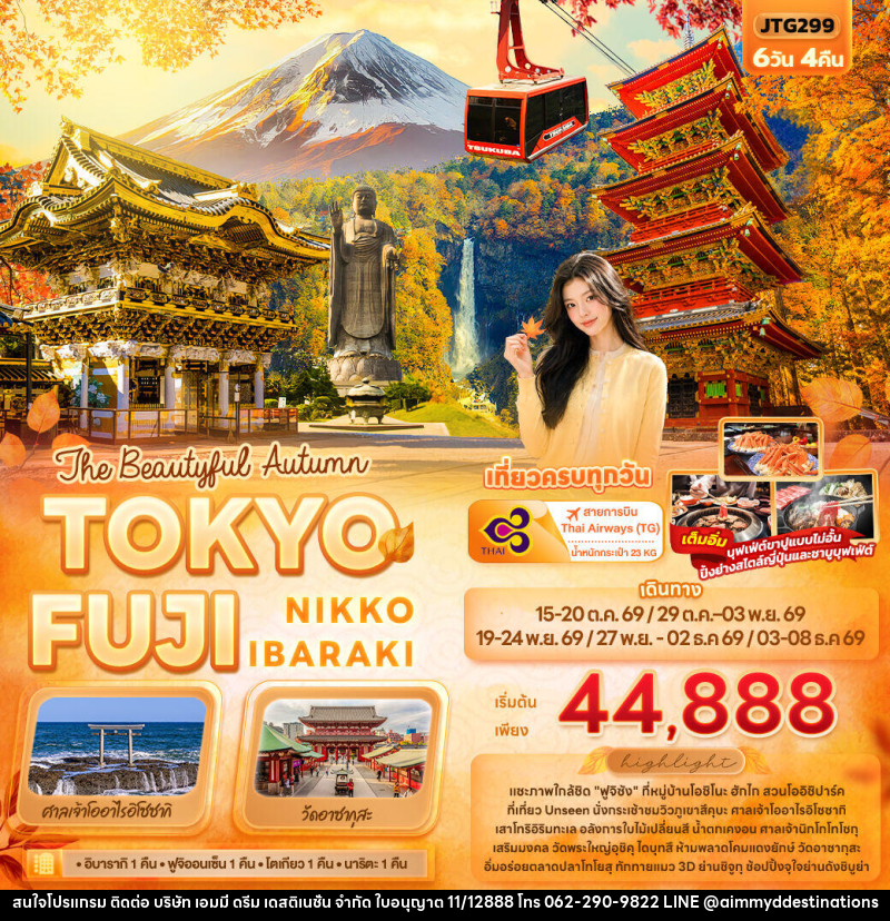 ทัวร์ญี่ปุ่น The Beautyful Autumn TOKYO FUJI NIKKO IBARAKI - บริษัท เอมมี่ ดรีม เดสติเนชั่น จำกัด