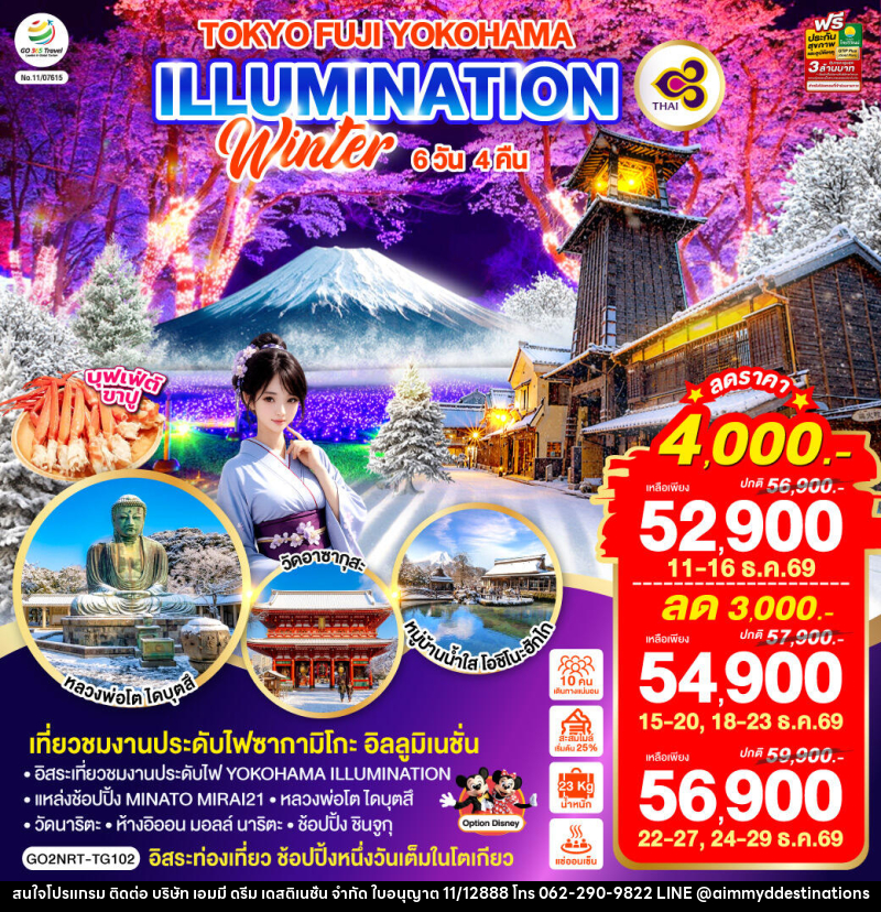 ทัวร์ญี่ปุ่น TOKYO FUJI YOKOHAMA ILLUMINATION WINTER - บริษัท เอมมี่ ดรีม เดสติเนชั่น จำกัด