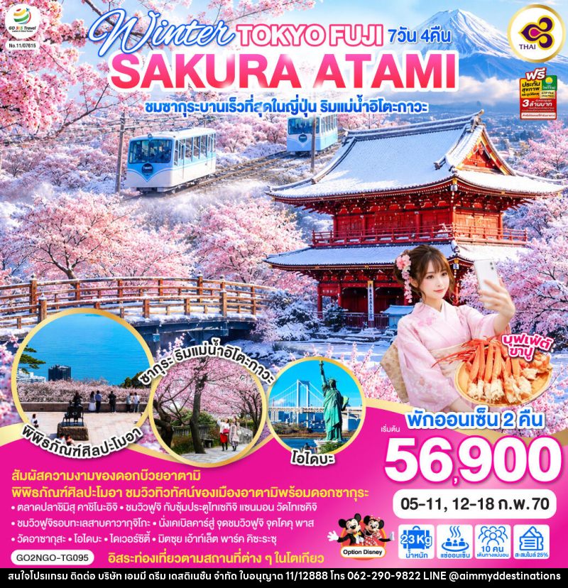 ทัวร์ญี่ปุ่น WINTER TOKYO FUJI SAKURA ATAMI - บริษัท เอมมี่ ดรีม เดสติเนชั่น จำกัด