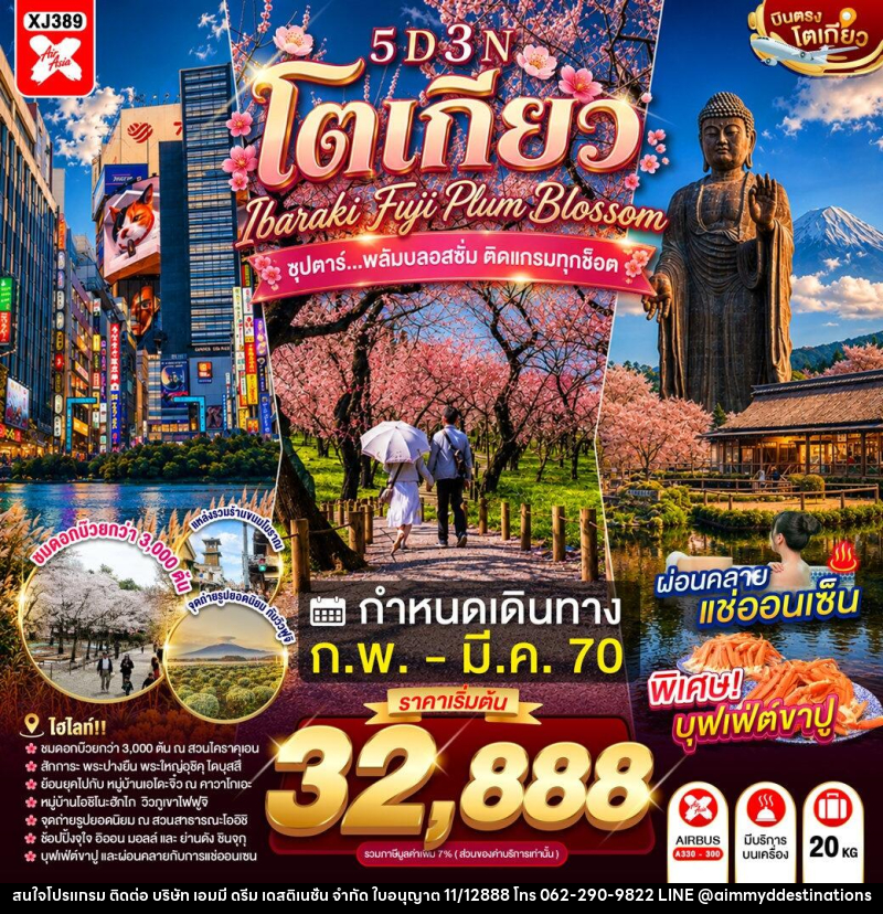 ทัวร์ญี่ปุ่น TOKYO IBARAKI FUJI PLUM BLOSSOM - บริษัท เอมมี่ ดรีม เดสติเนชั่น จำกัด