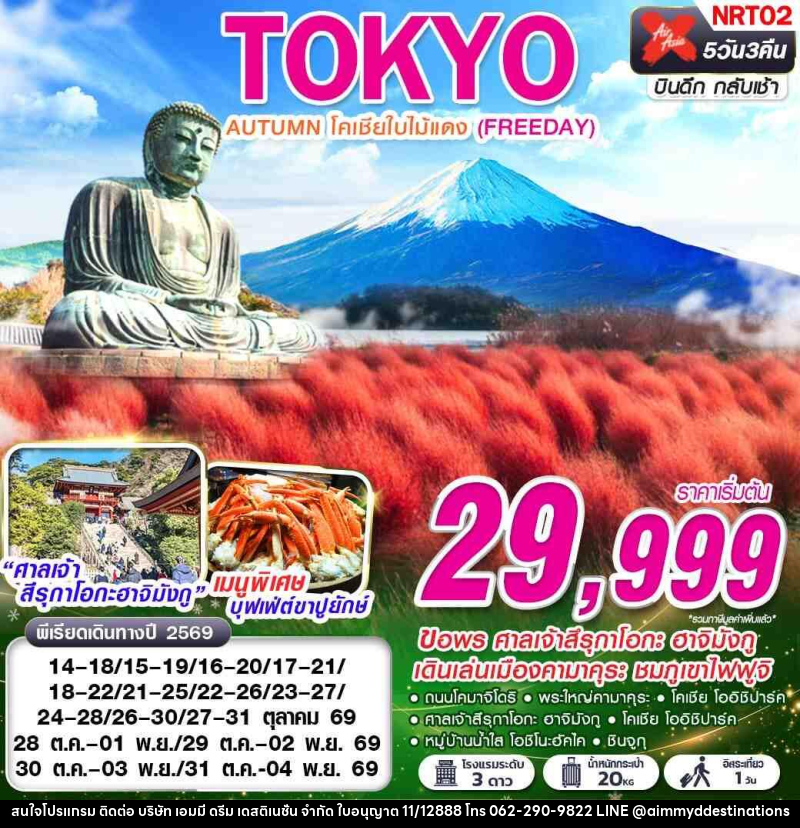 ทัวร์ญี่ปุ่น TOKYO AUTUMN โคเชียใบไม้แดง (ฟรีเดย์) - บริษัท เอมมี่ ดรีม เดสติเนชั่น จำกัด