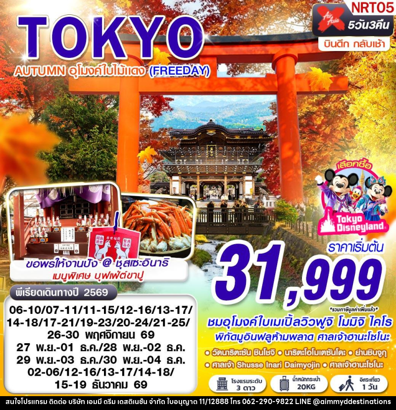 ทัวร์ญี่ปุ่น  TOKYO AUTUMN อุโมงค์ใบไม้แดง (FREEDAY) - บริษัท เอมมี่ ดรีม เดสติเนชั่น จำกัด